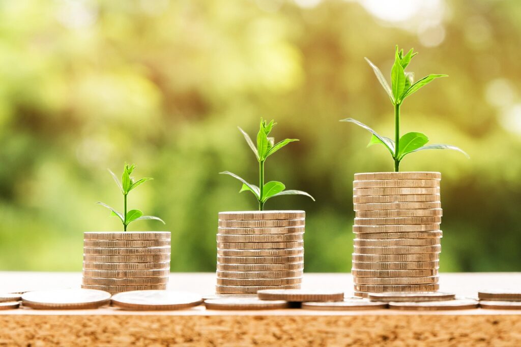 The Growth Question money, profit, finance, business, return, yield, financial, cash, currency, investment, banking, wealth, coin, economy, success, loan, salary, rich, credit, payment, savings, save, deposit, growth, income