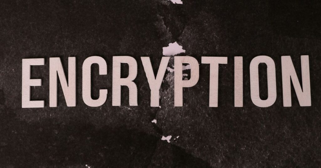 Twelve Words Between You and Everything Black and white abstract image with the word 'ENCRYPTION' prominently displayed.