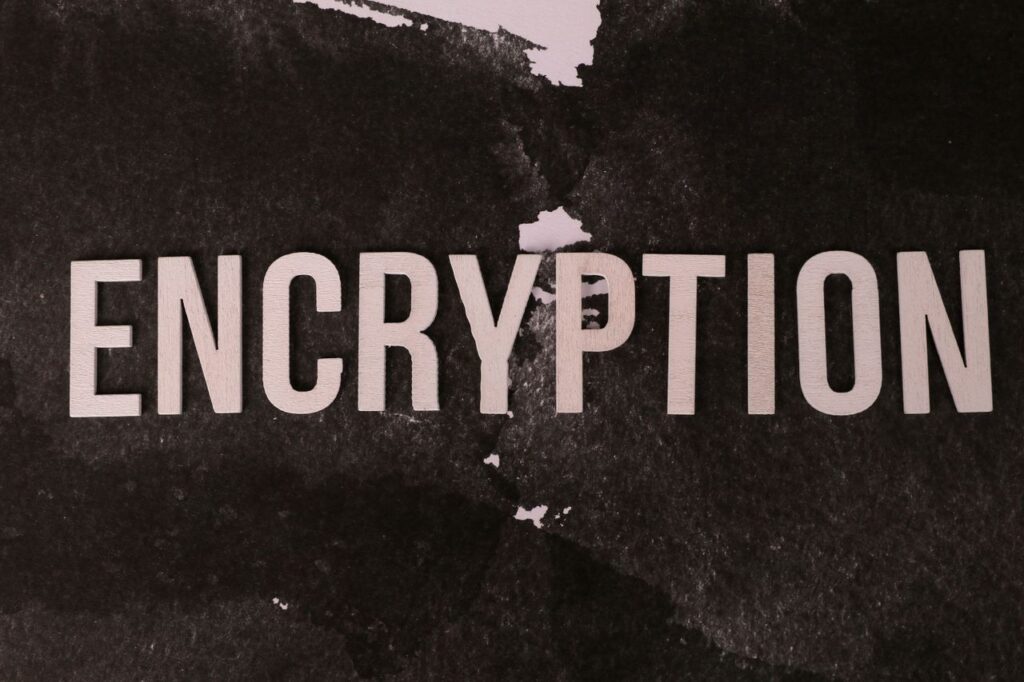 Twelve Words Between You and Everything Black and white abstract image with the word 'ENCRYPTION' prominently displayed.