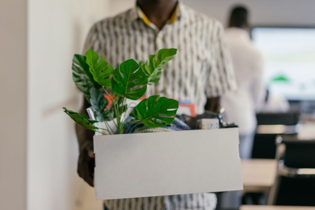 When the Job Goes Adult man carrying office box with a plant, symbolizing job change or relocation.