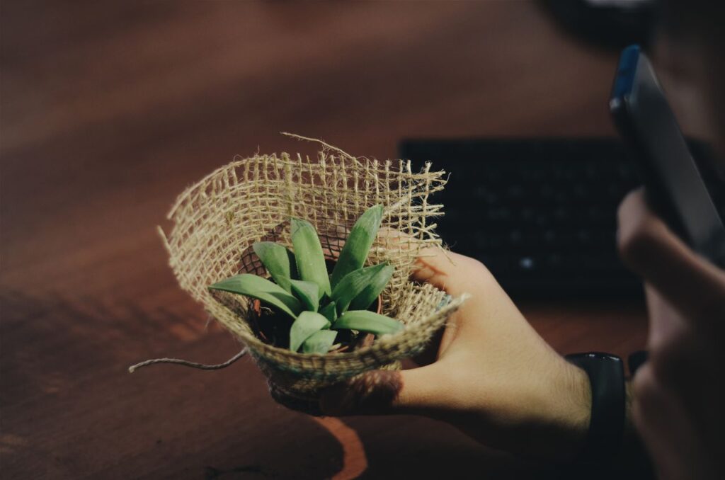 You Don't Have to Be Rich to Start A close-up of hands holding a potted plant wrapped in burlap on a wooden table indoors.
