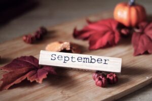 Articles Rustic autumn decor featuring September sign, vibrant leaves, and mini pumpkins.
