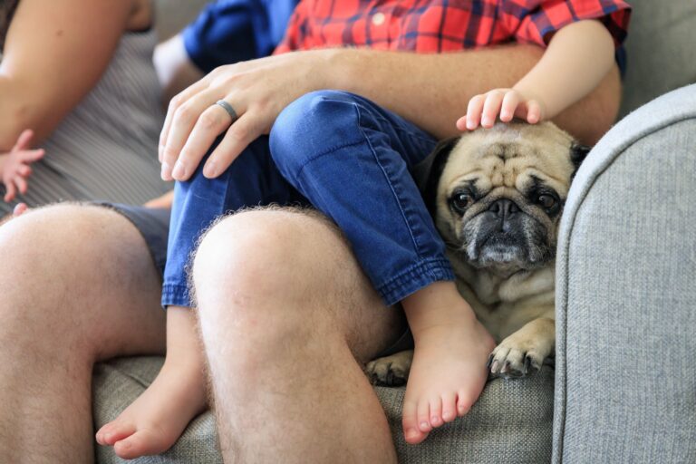 A family enjoying a cozy moment with their pug on a comfortable couch at home.